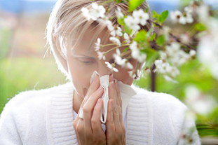 pollen